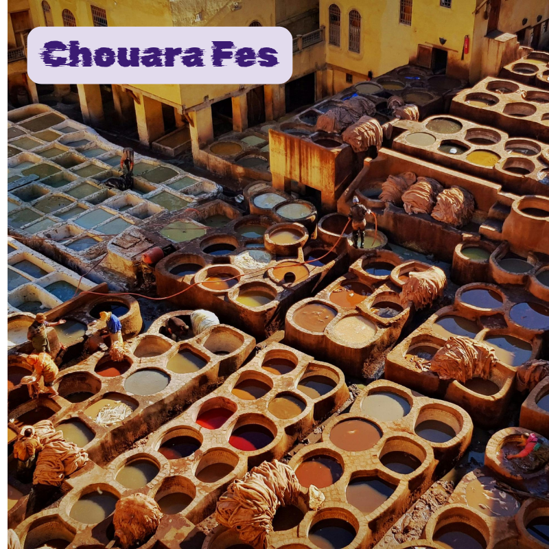 Antiche concerie storiche di Chouara a Fes